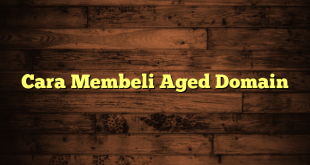 Cara Membeli Aged Domain