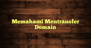 Memahami Mentransfer Domain